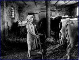 Vita agreste - portfolio 7